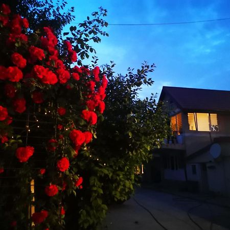 Cristalex Villaverde Bucharest Pantelimon Buitenkant foto