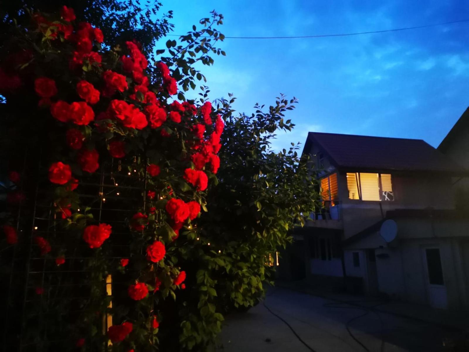 Cristalex Villaverde Bucharest Pantelimon Buitenkant foto