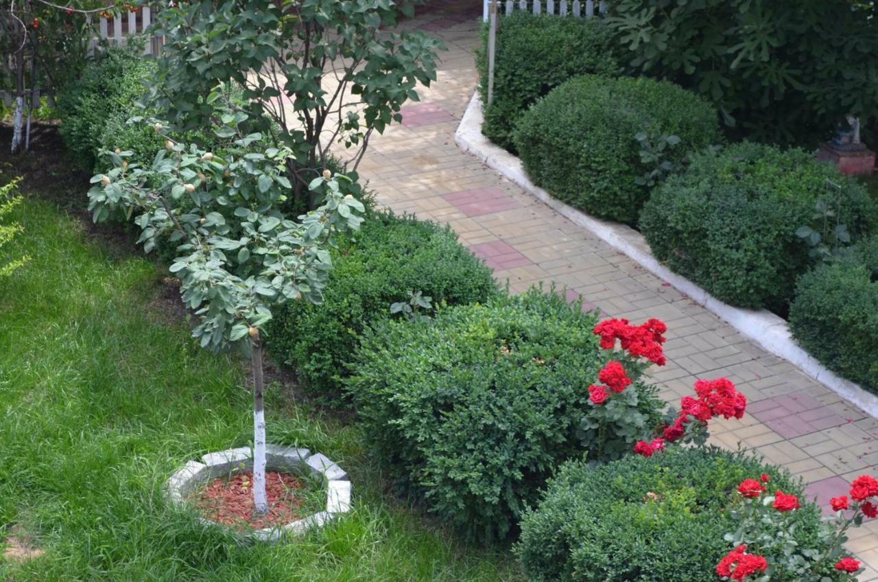 Cristalex Villaverde Bucharest Pantelimon Buitenkant foto